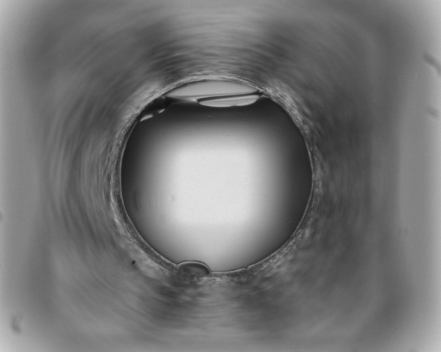 X0000096200145200802011307