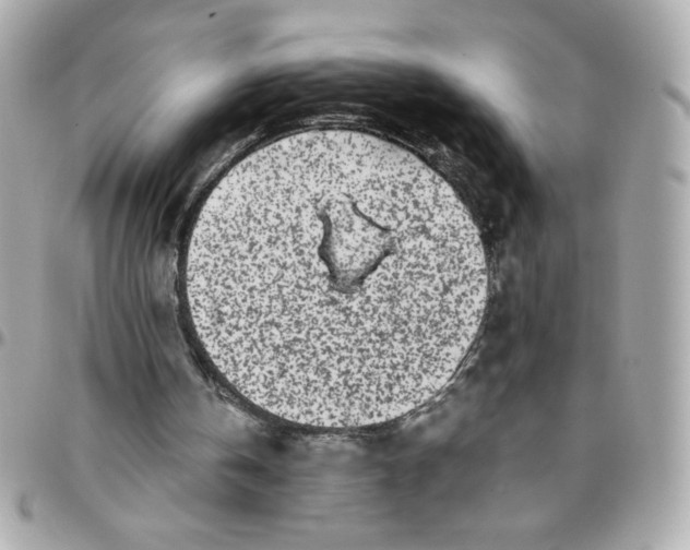 X0000096200146200802011307