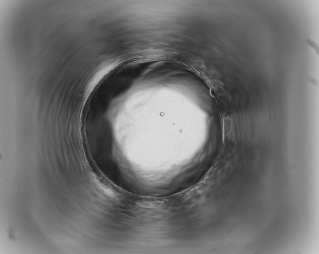 X0000096200147200802011307