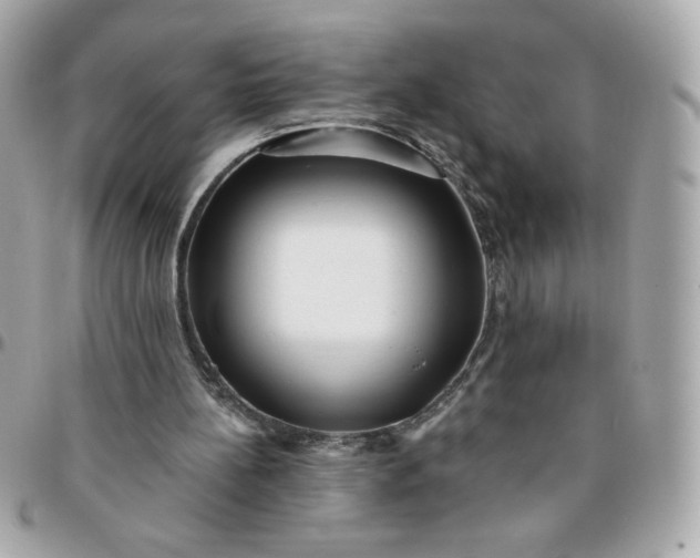 X0000096200148200802011307