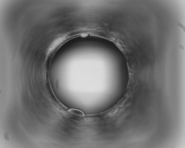 X0000096200149200802011307