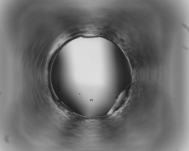 X0000096200150200802011307