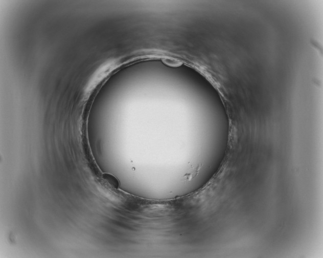 X0000096200151200802011307