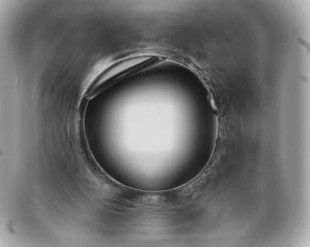 X0000096200152200802011307