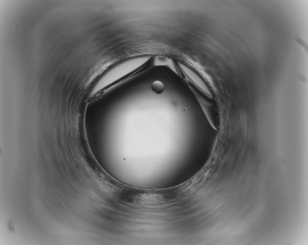 X0000096200154200802011307