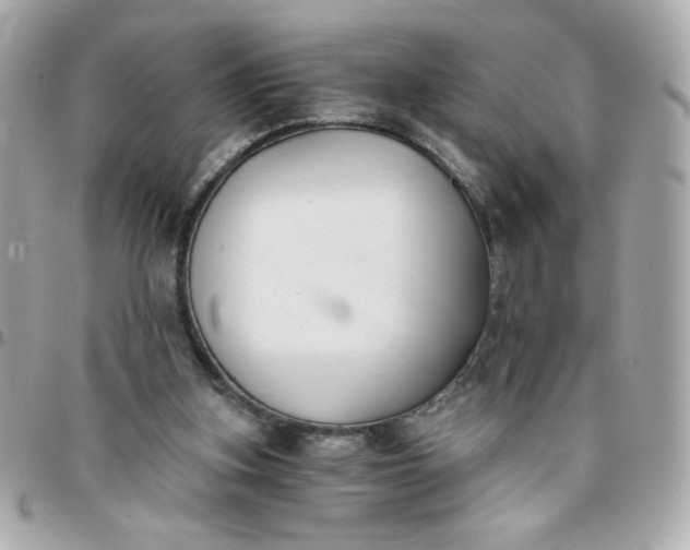 X0000096200155200802011307