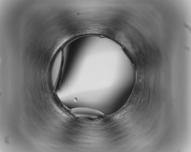 X0000096200156200802011307