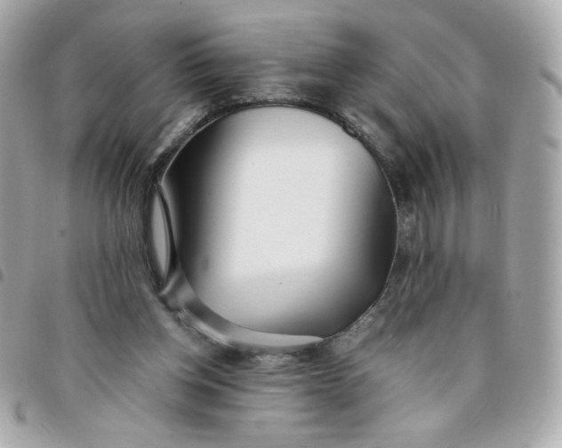 X0000096200158200802011307