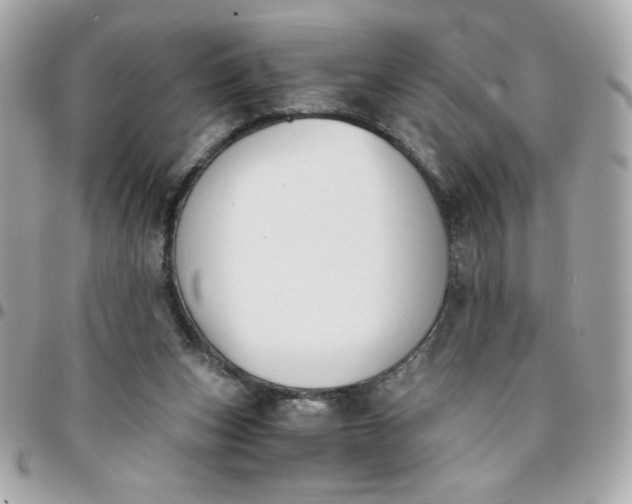 X0000096200159200802011307