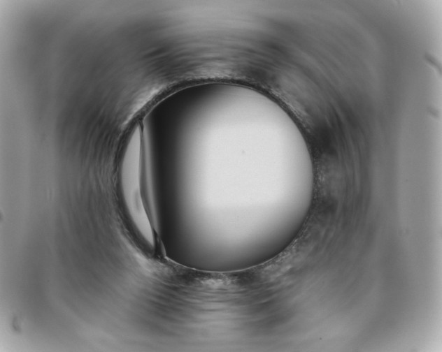 X0000096200160200802011307