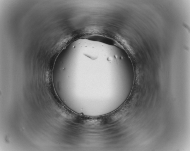 X0000096200161200802011307