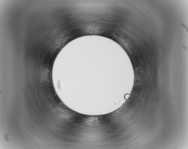 X0000096200162200802011307