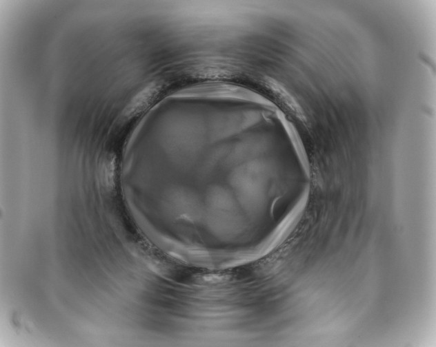 X0000096200163200802011307