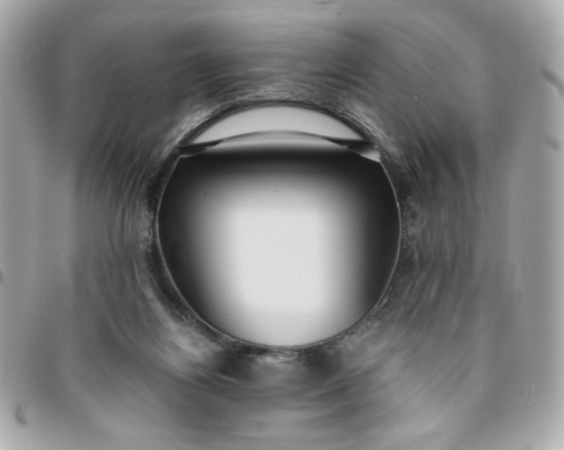 X0000096200164200802011307