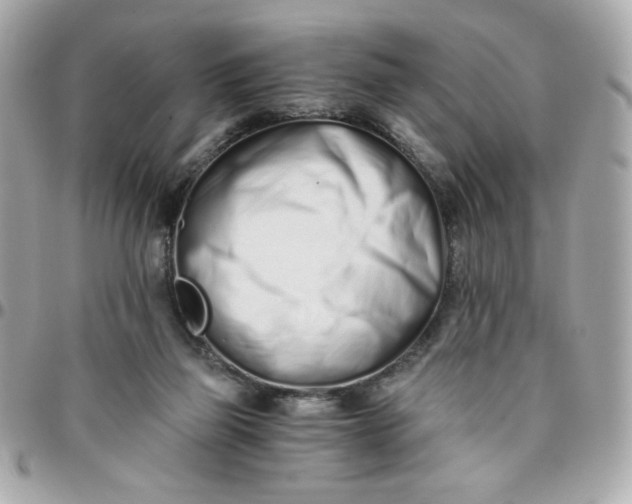 X0000096200165200802011307