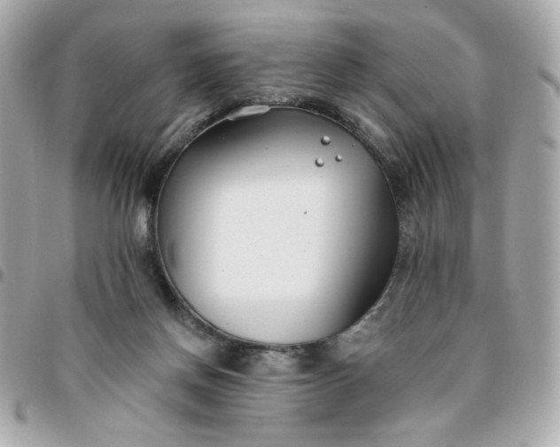 X0000096200166200802011307