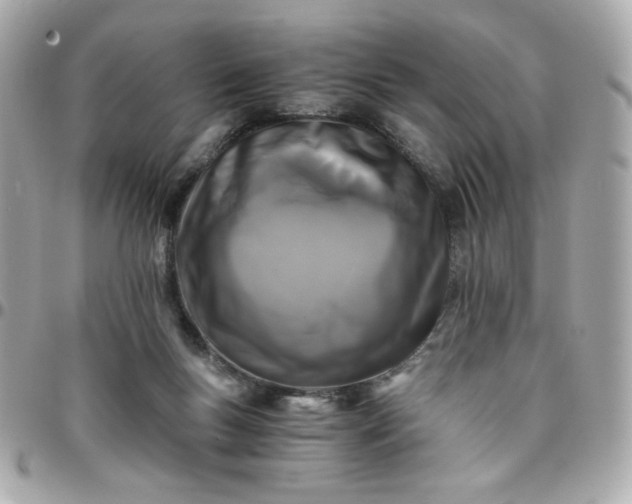 X0000096200167200802011307