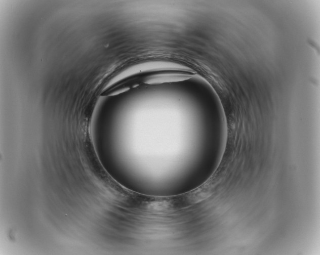 X0000096200168200802011307