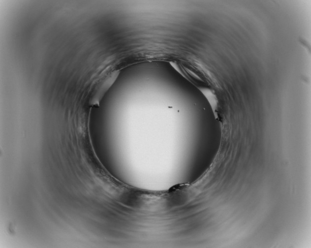 X0000096200170200802011307