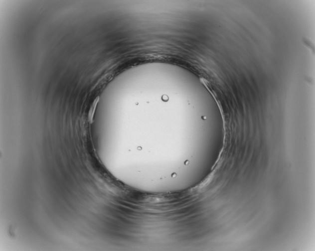 X0000096200174200802011307