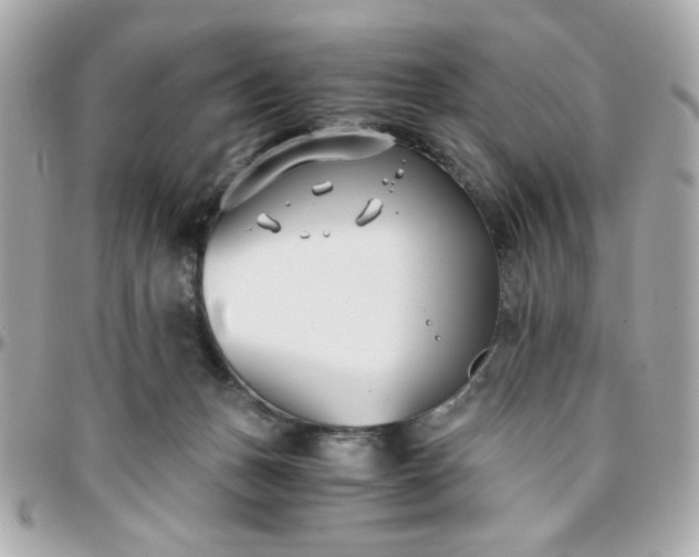 X0000096200175200802011307