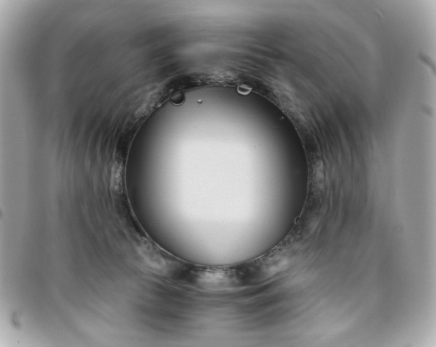 X0000096200177200802011308