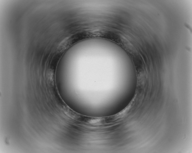 X0000096200178200802011308