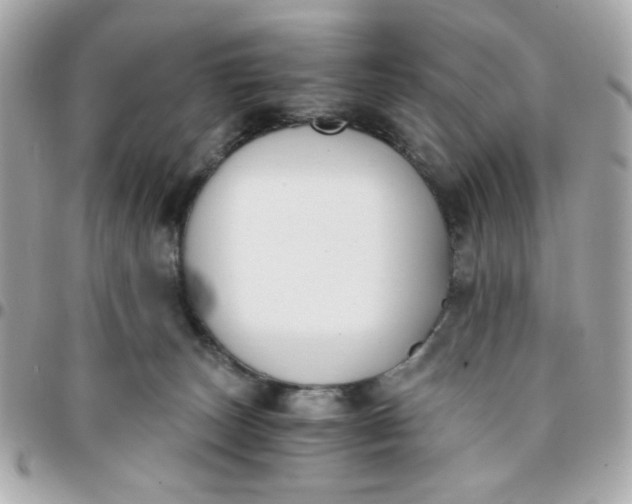 X0000096200179200802011308