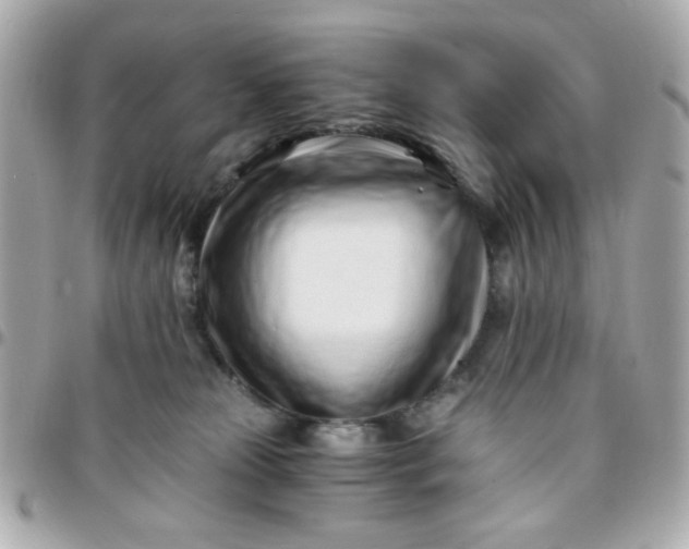 X0000096200181200802011308