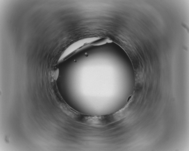 X0000096200182200802011308