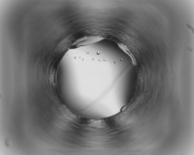 X0000096200185200802011308