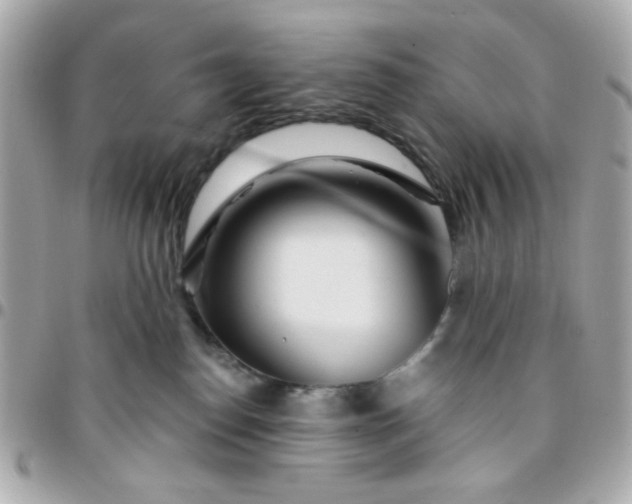 X0000096200186200802011308