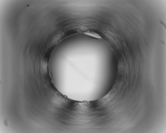 X0000096200188200802011308