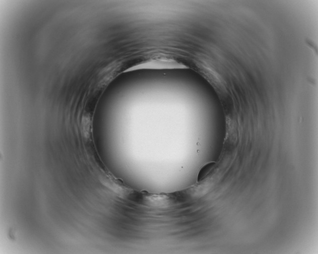 X0000096200189200802011308