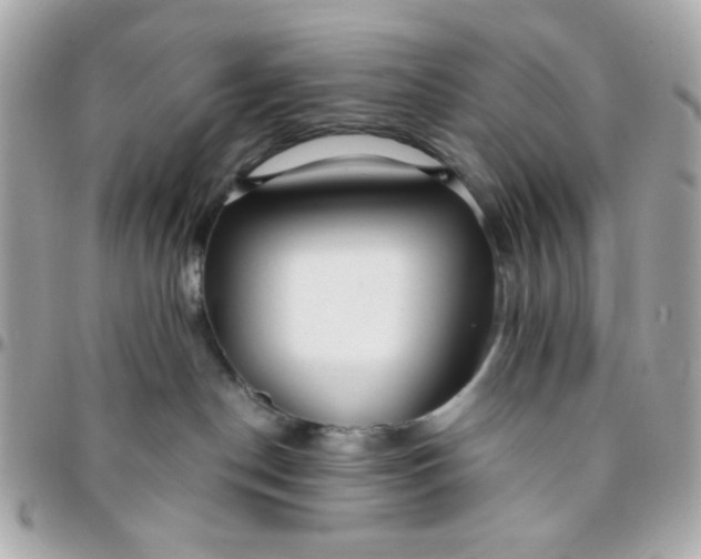 X0000096200190200802011308