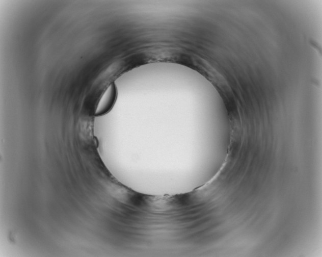 X0000096200191200802011308