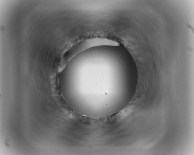 X0000096200192200802011308