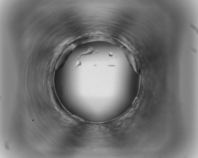 X0000096200193200802011307