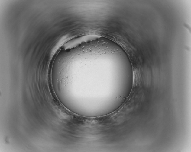 X0000096200195200802011307