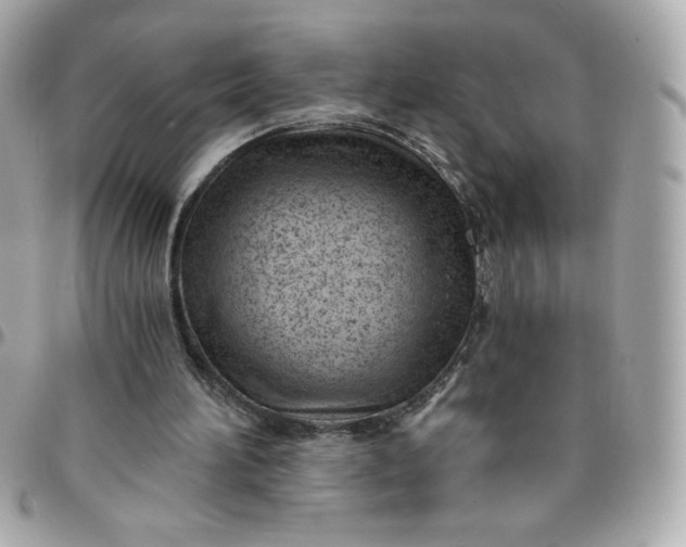 X0000096200196200802011307