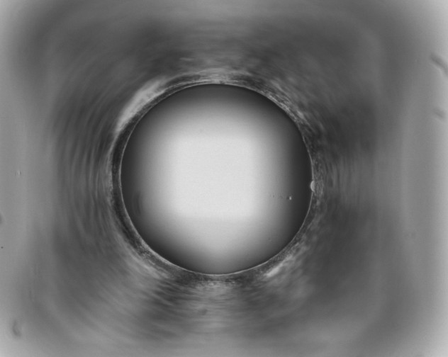 X0000096200198200802011307