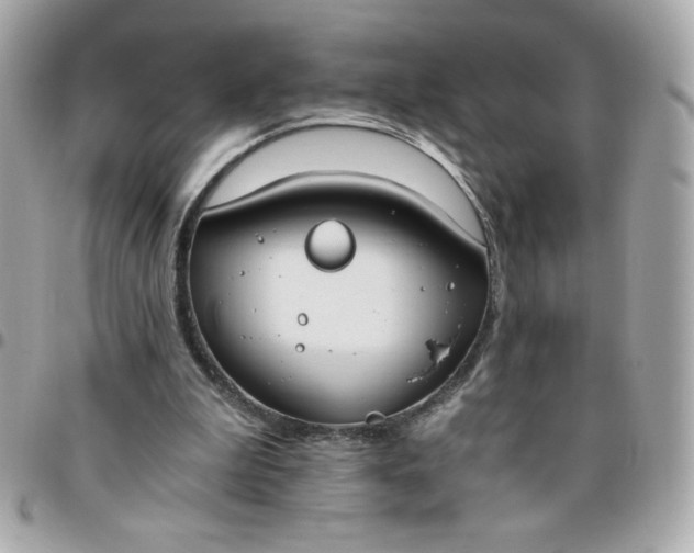 X0000096200199200802011307