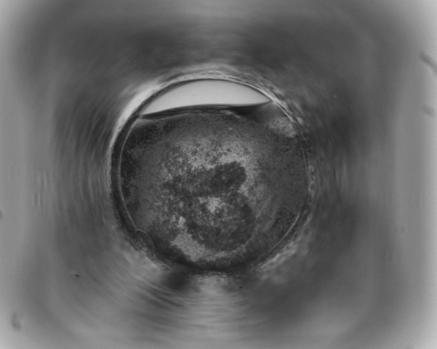 X0000096200200200802011307