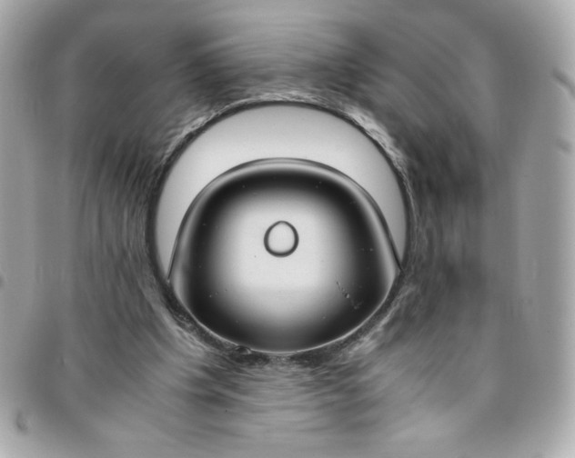 X0000096200201200802011307