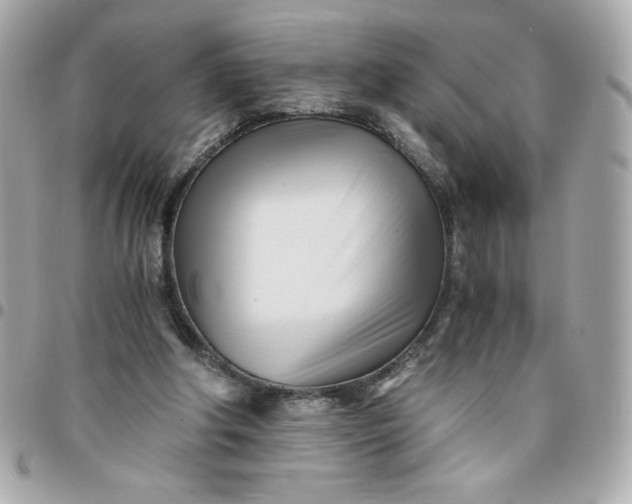 X0000096200202200802011307