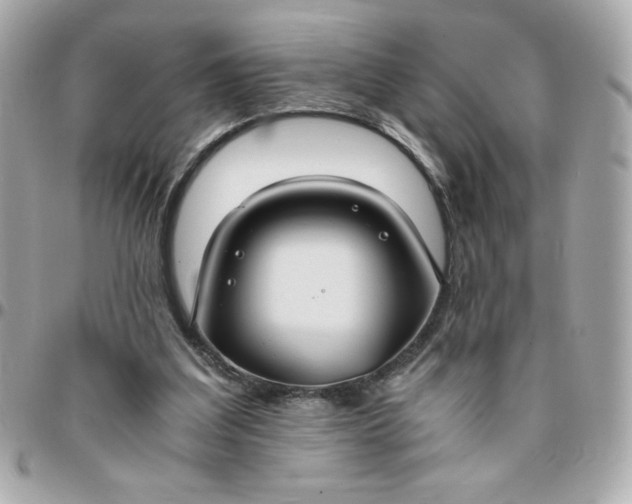 X0000096200203200802011307