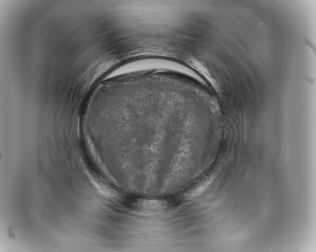 X0000096200205200802011307