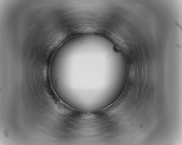 X0000096200206200802011307