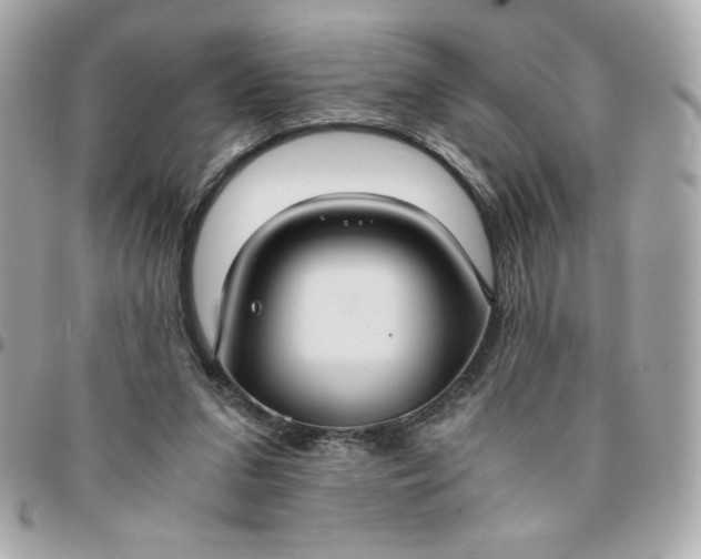 X0000096200207200802011307