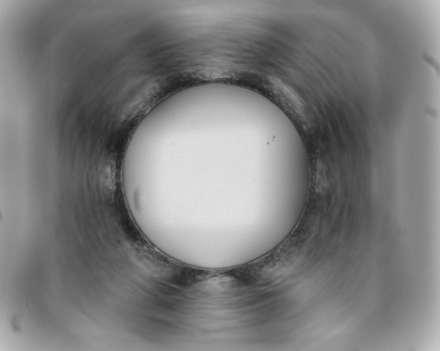 X0000096200210200802011307